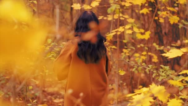 年轻的黑发女人在秋天的公园散步 手中拿着枫叶 慢动作 — 图库视频影像