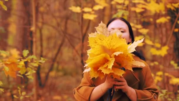 Junge Lächelnde Frau Herbstpark Mit Ahornblättern Den Händen — Stockvideo