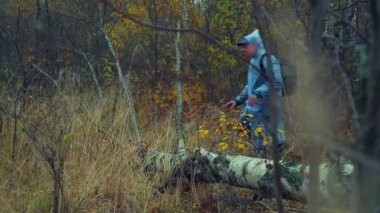 Bir adam bir sırt çantası içinde yağmurluk ile woods ve adımları düşmüş bir ağaç üzerinde girer.