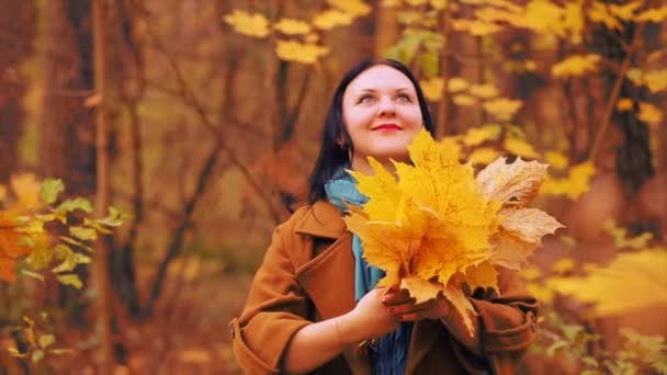 Junge Lächelnde Brünette Frau Herbstpark Mit Ahornblättern Den Händen Nahaufnahme — Stockvideo