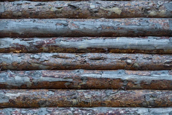 El fragmento de la muralla de madera de la fortaleza de los troncos crudos. Textura . — Foto de Stock