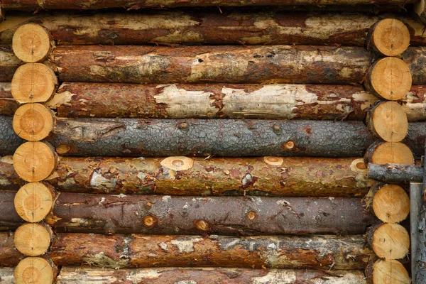 Fragment of wooden fortress from raw logs. Texture. — Stock Photo, Image