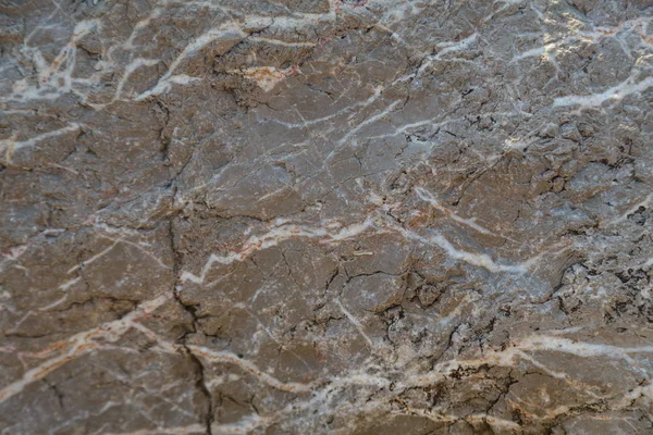 Fragment eines Felsens am Meer. Textur. — Stockfoto