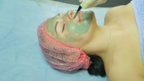 Kosmetolog gäller en kosmetiska mask av grå lera med en borste på framsidan av en kvinna — Stockvideo