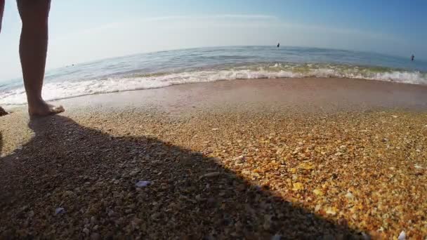 Weiblich gebräunte Beine, die am Ufer des Meeres entlang laufen — Stockvideo