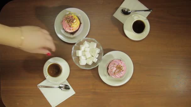 Weibliche Hand legt Zuckerwürfel in Tassen mit heißem Kaffee — Stockvideo