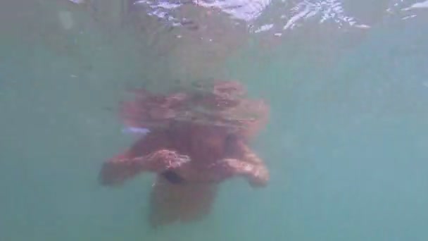 Cuerpo femenino bajo el agua en el mar — Vídeo de stock