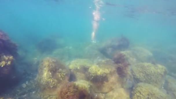 Un fondo marino con vegetación submarina y grandes piedras y una piedra de mujer de pie — Vídeos de Stock