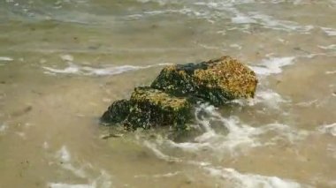 Deniz silt ile kaplı çamaşır büyük taşlar dalgalar. HD
