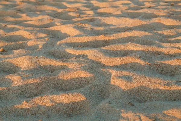 Sandy seashore bathed in sunshine. Horizontal photo