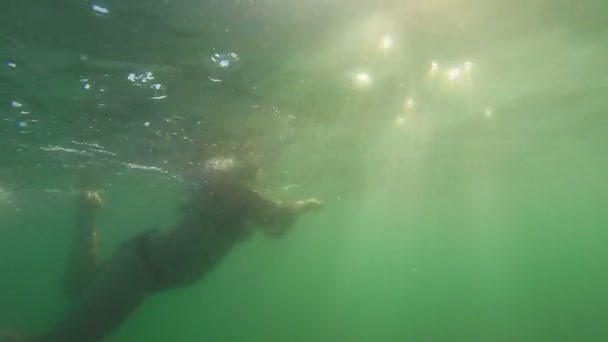 Silhouette di una donna galleggiante sott'acqua in acqua di mare al sole — Video Stock