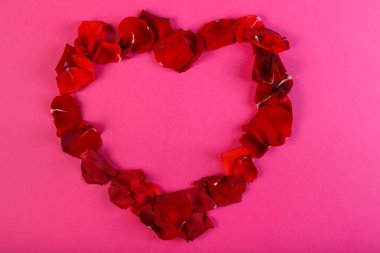 Pembe bir arka plan üzerinde gül yaprakları kalp.