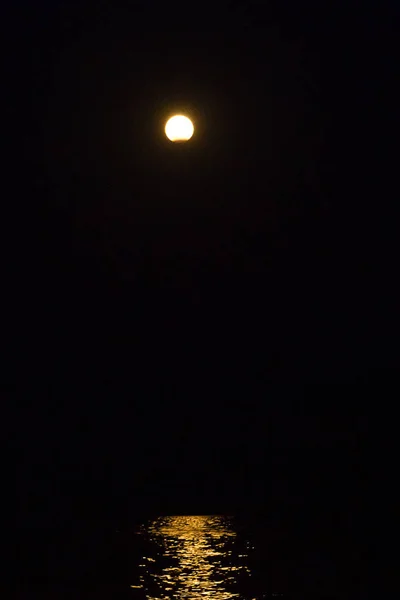 黄昏时的月光在海面上。垂直框架 — 图库照片