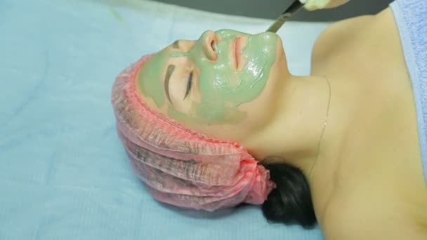 Косметолог наносит косметическую маску из серой глины с кистью на лице женщины — стоковое видео