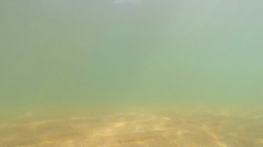 Sandy alt deniz suyu ve güneş ışığı ile