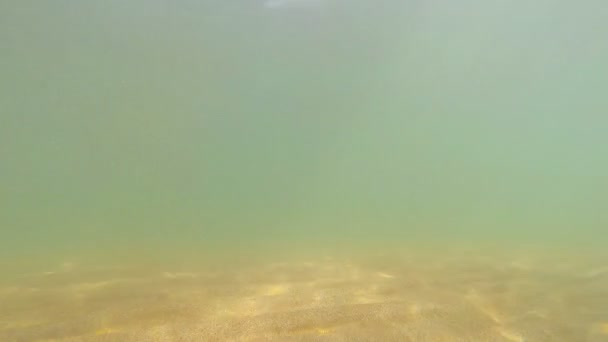 Fundo arenoso com água do mar e luz solar — Vídeo de Stock