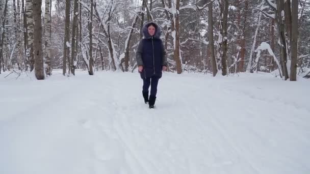 Young Woman Smiles Hood Walks Winter Park Snowfall Overall Plan — Stock Video