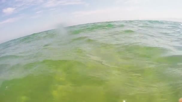 Lichtgolven op de zee. Groene zeewater — Stockvideo