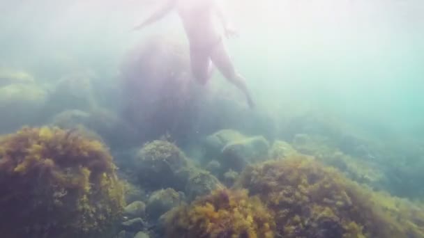 Mujer nadando bajo el agua en zapatillas de coral en el mar — Vídeos de Stock