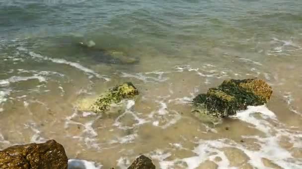大きな石を洗う海岸に汚れた海 — ストック動画