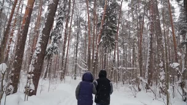 Une Paire Hommes Femmes Marchant Dans Parc Hiver Dans Neige — Video