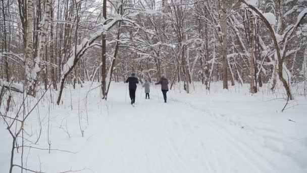 Een familie van skiërs met een kind loopt langs het pad door het park van de winter — Stockvideo