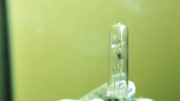 Lampe hologène brûlée pour projecteur de profil dans les mains de l'illuminateur 