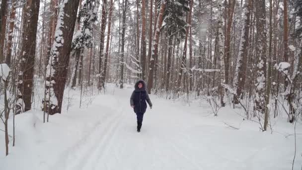 Молода жінка посміхається в капоті проходить через зимовий парк у снігопаді — стокове відео