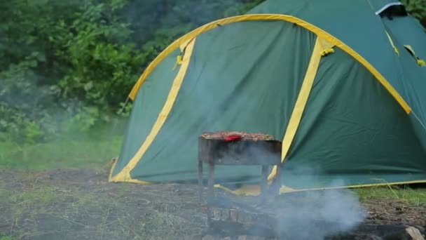在绿色帐篷的背景下 在森林里 有烧烤的烧烤 总计划 — 图库视频影像