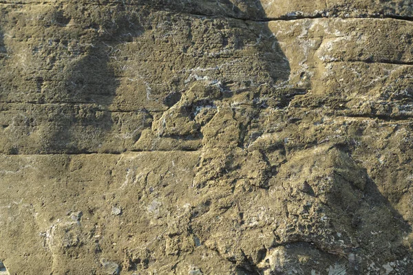 Fragmento de acantilado rocoso. Textura. Primer plano . — Foto de Stock