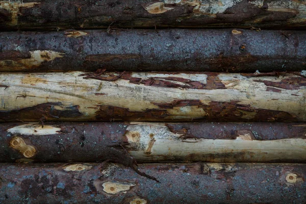 Fragmento de un viejo muro de troncos sin procesar. Textura . — Foto de Stock