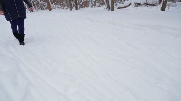 Una giovane donna sorride in un cappuccio cammina attraverso un parco invernale nella nevicata — Video Stock