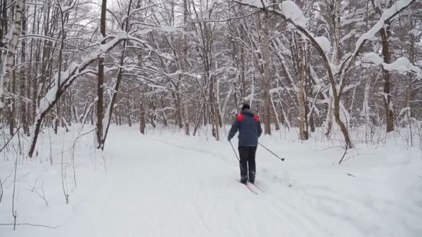 Семья лыжников с ребенком, бегущей по тропе через зимний парк — стоковое видео