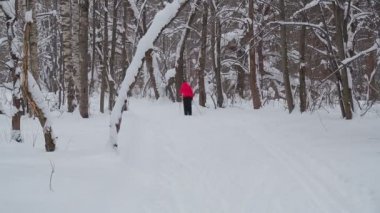 bir kadın kayaklar üzerinde kış parkın içinden yol boyunca gider
