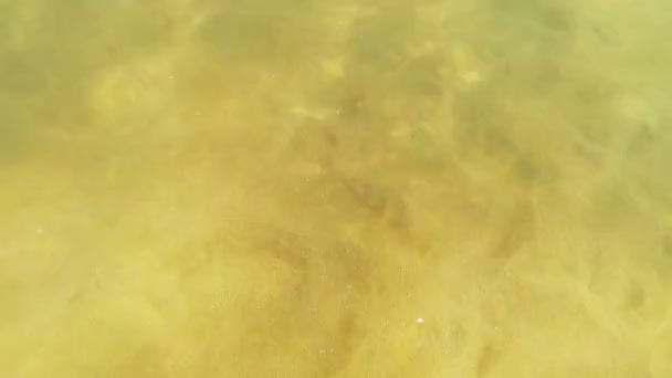 Agua de mar con fondo arenoso al sol — Vídeo de stock