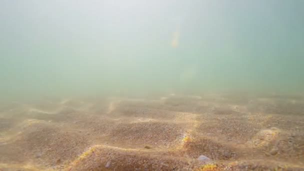 没有波浪的沙地海底与搅拌的沙子 — 图库视频影像