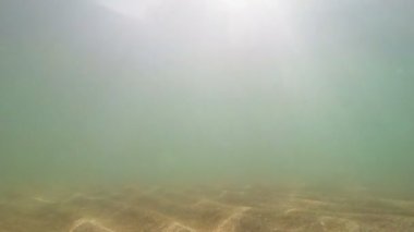 Sandy alt deniz suyu ve güneş ışığı ile