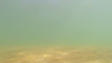 Sandy alt deniz suyu ve güneş ışığı ile