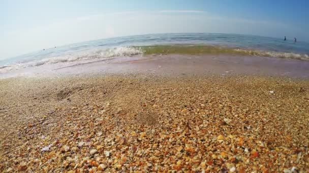 Zanderige kust met kleine schelpen en lichte golven overlopen — Stockvideo