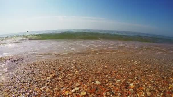 Dámské nohy jsou na písečné pláži, na kterém běží vlny — Stock video