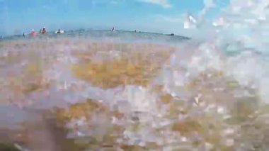 Deniz kıyısı gelen ve geri çekilen bir dalga