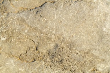 Bir kaya parçası kapatın. Doku.