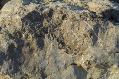 Kaya yivli yüzeyine yakın çekim. Doku.