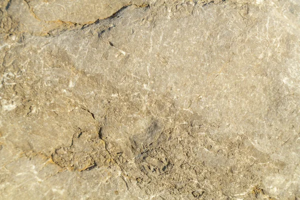 Bir kaya parçası kapatın. Doku.