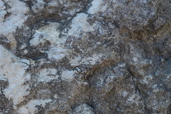 Un fragmento de sal cubierto de rocas junto al mar. Textura . — Foto de Stock