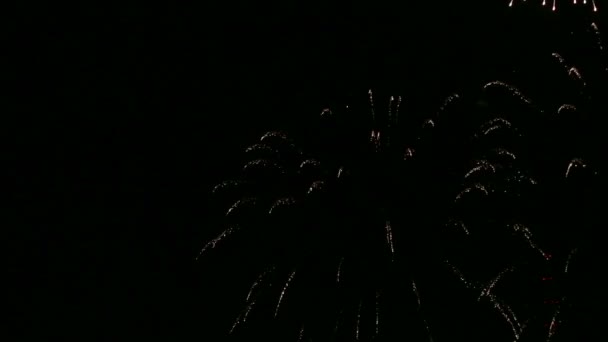 Φωτεινά εορταστικά πυροτεχνήματα στο σκοτεινό νυχτερινό ουρανό. Χρονογύροι — Αρχείο Βίντεο