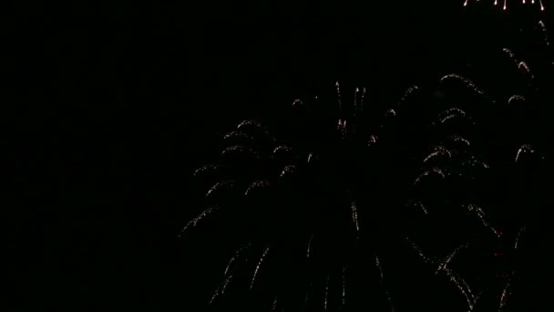 Feux d'artifice lumineux dans le ciel nocturne sombre. Laps de temps — Video