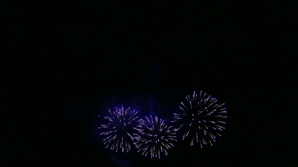 Ceremonial fireworks in the dark night sky. — Stock Video