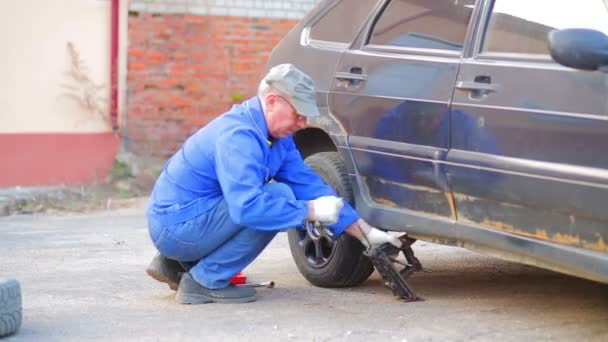 Un hombre con un gato baja el coche al suelo . — Vídeos de Stock