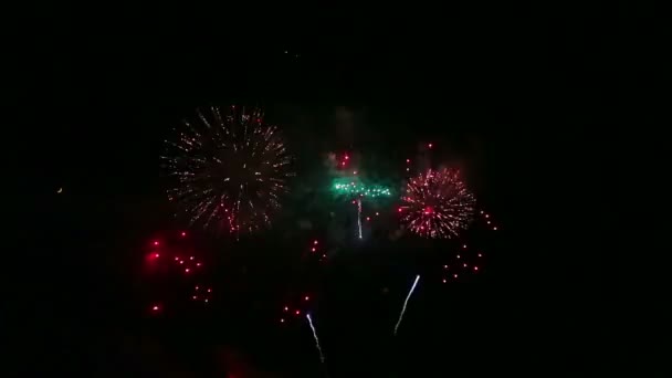 Fuochi d'artificio festivi colorati nel buio cielo notturno. Giri temporali . — Video Stock